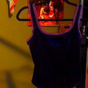 Arianne fitted purple velvet top